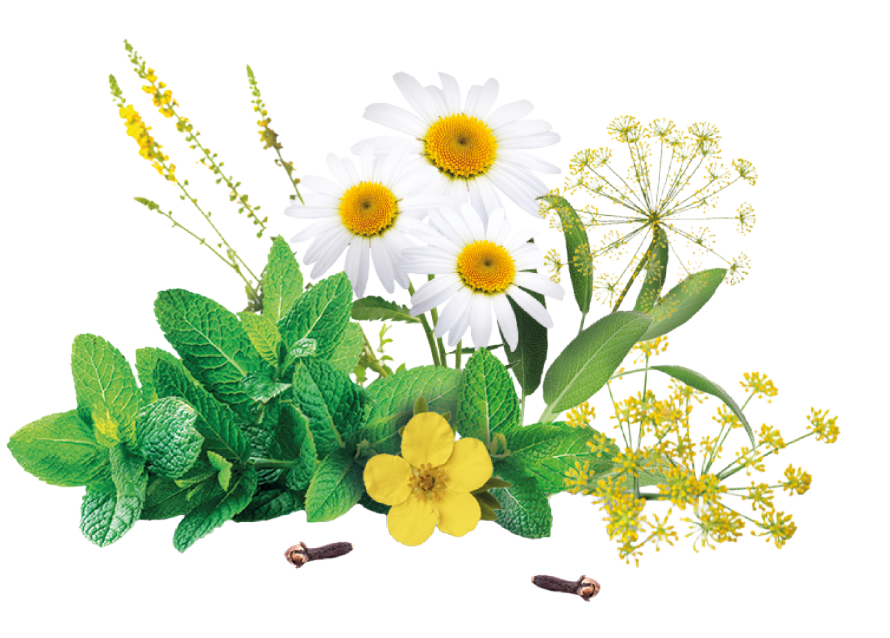 32e253f1-da63-4d95-adcb-f900820f58b3