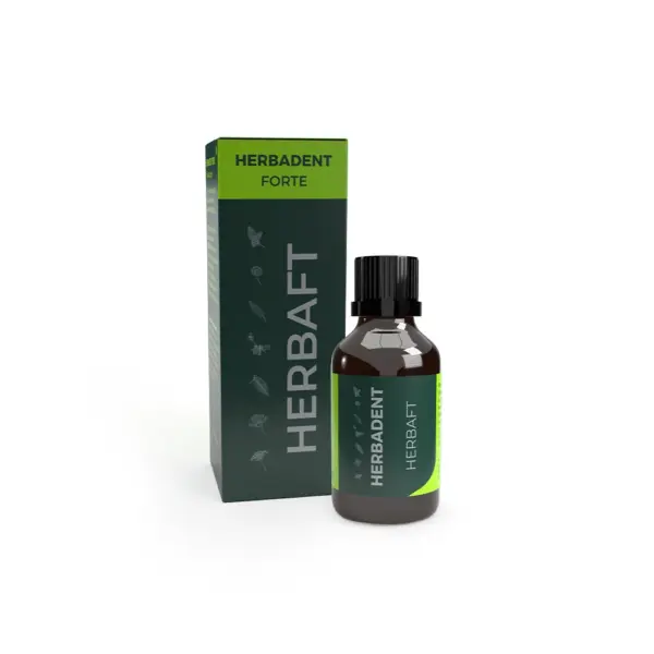 HERBADENT FORTE HERBAFT Kräutertinktur 25 ml